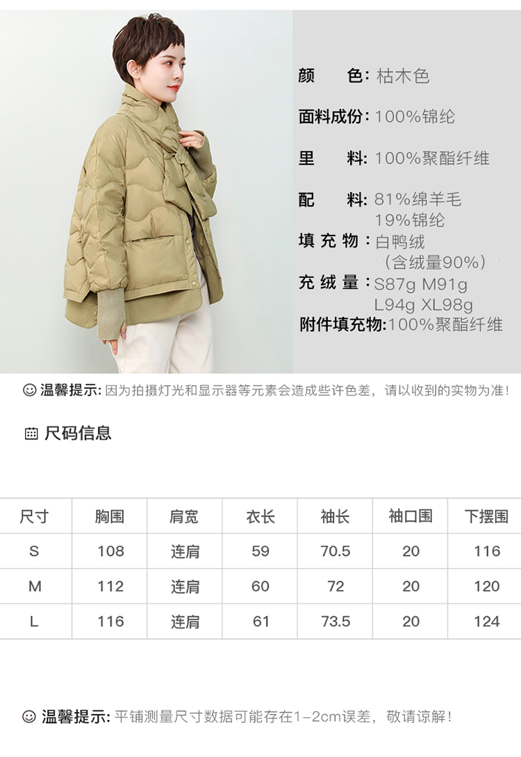 DK-WZXW1119-3