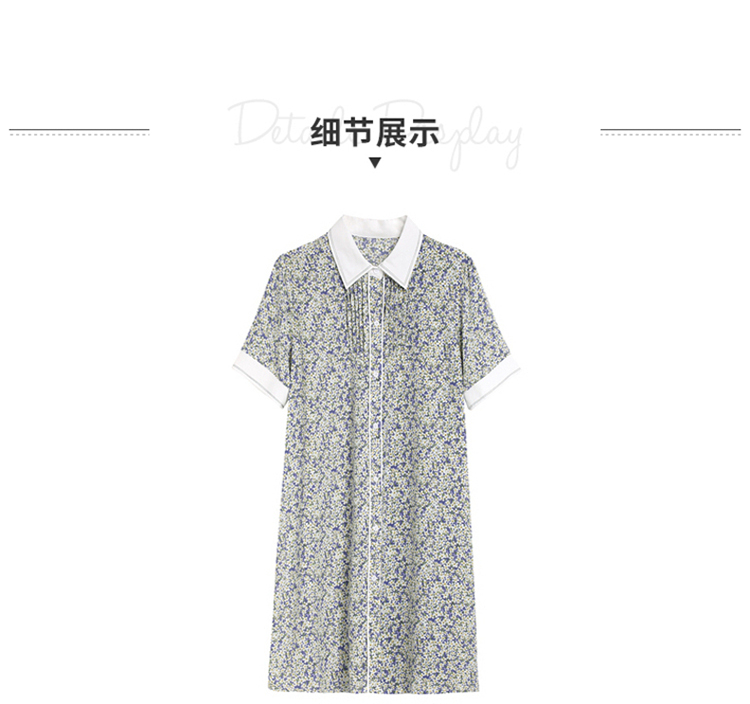 DK-SZ3001A-2