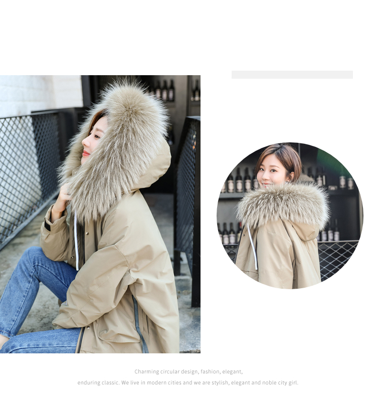 DK-WL10311-1
