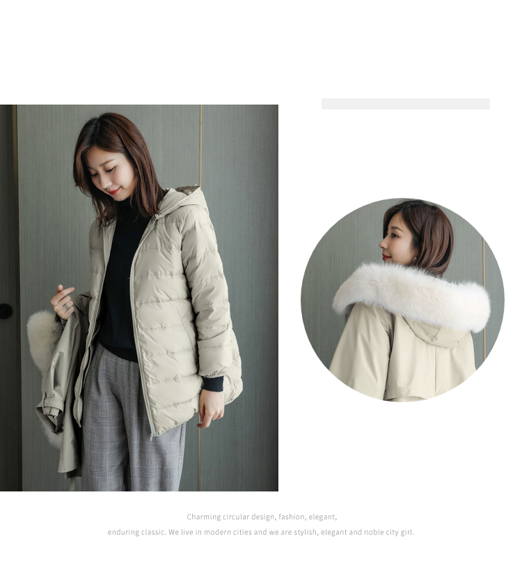 DK-WWH0002-1