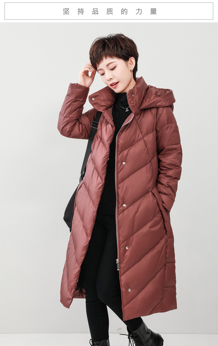 DK-Z2019A-0