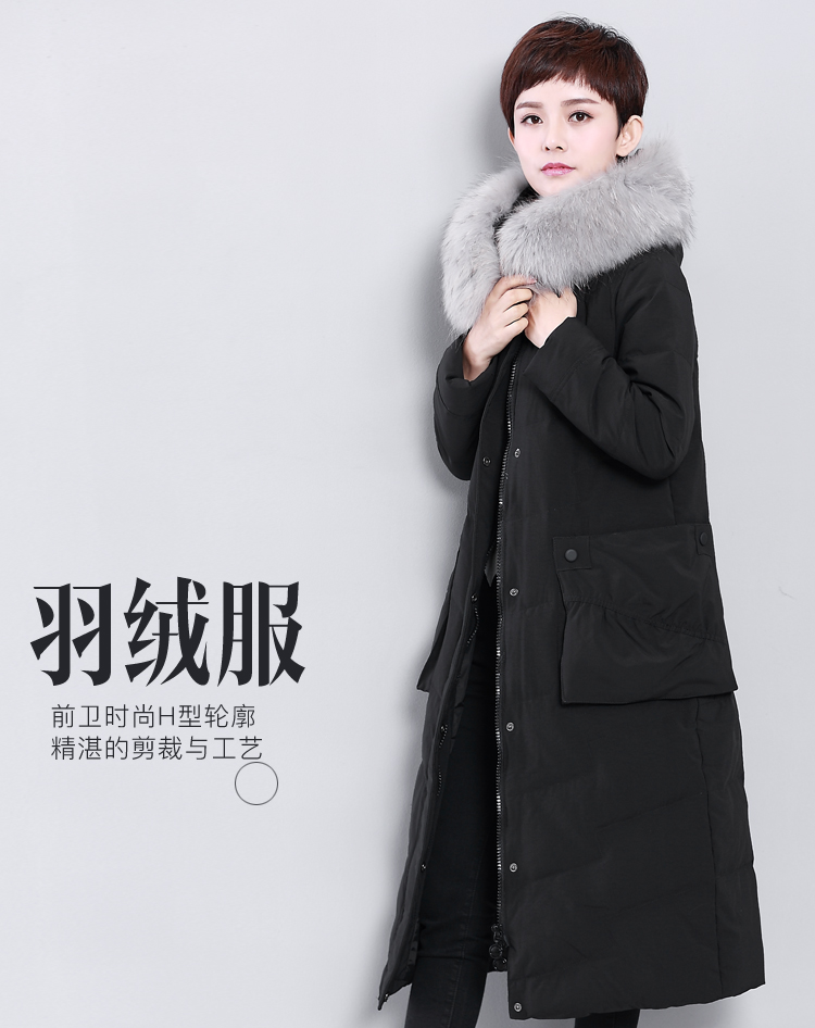 DK-WFXM8815-0