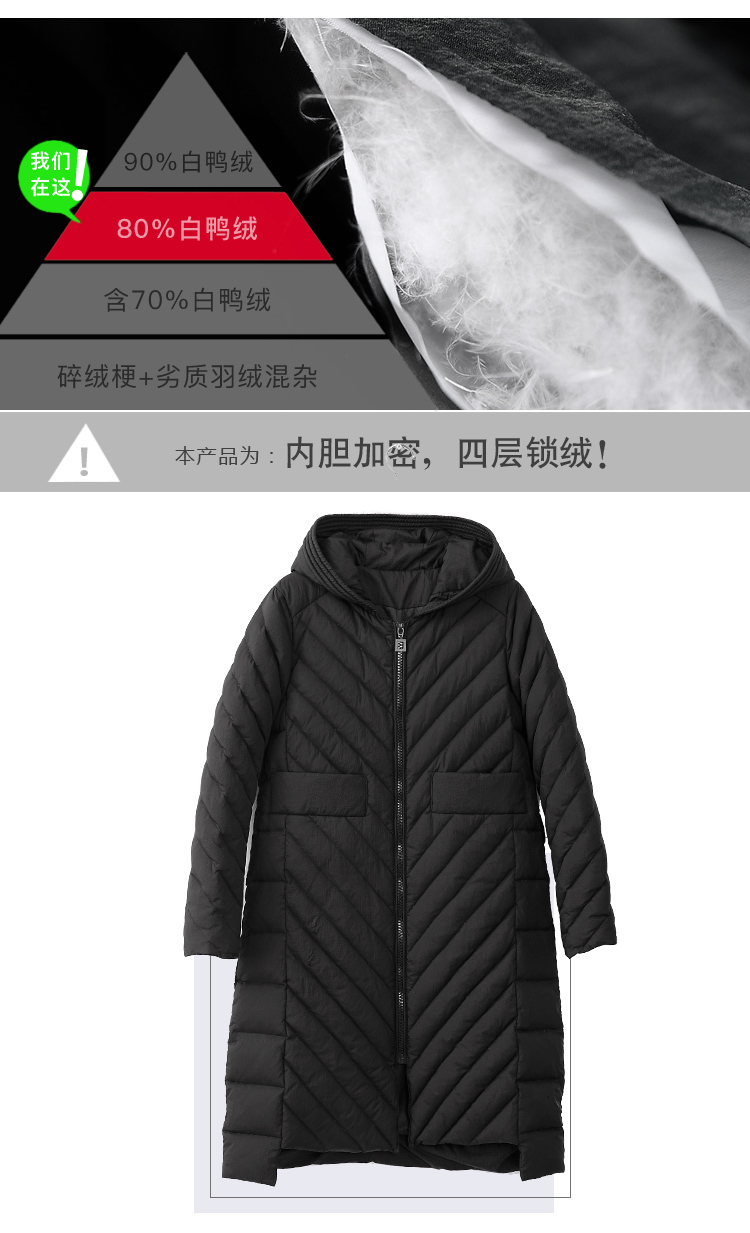 DK-WF1L8115-2