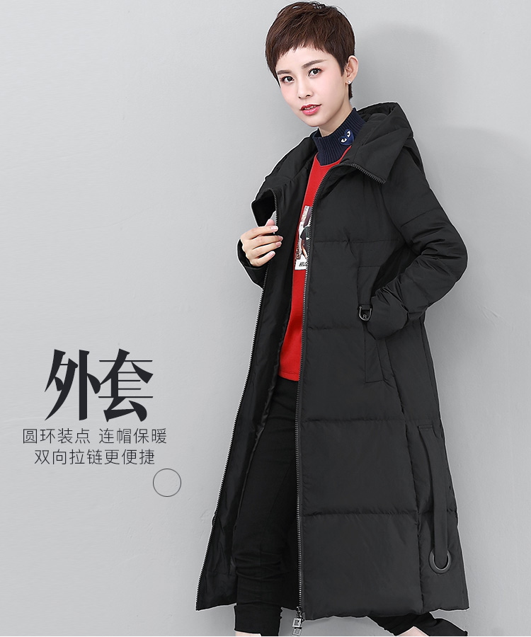 DK-WFWZ3569-0