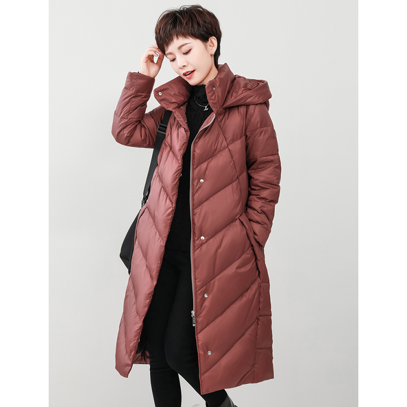 DK-Z2019A
