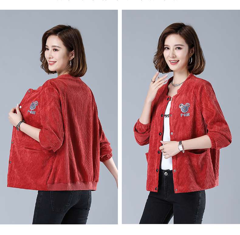DK-AW1Y3065-1
