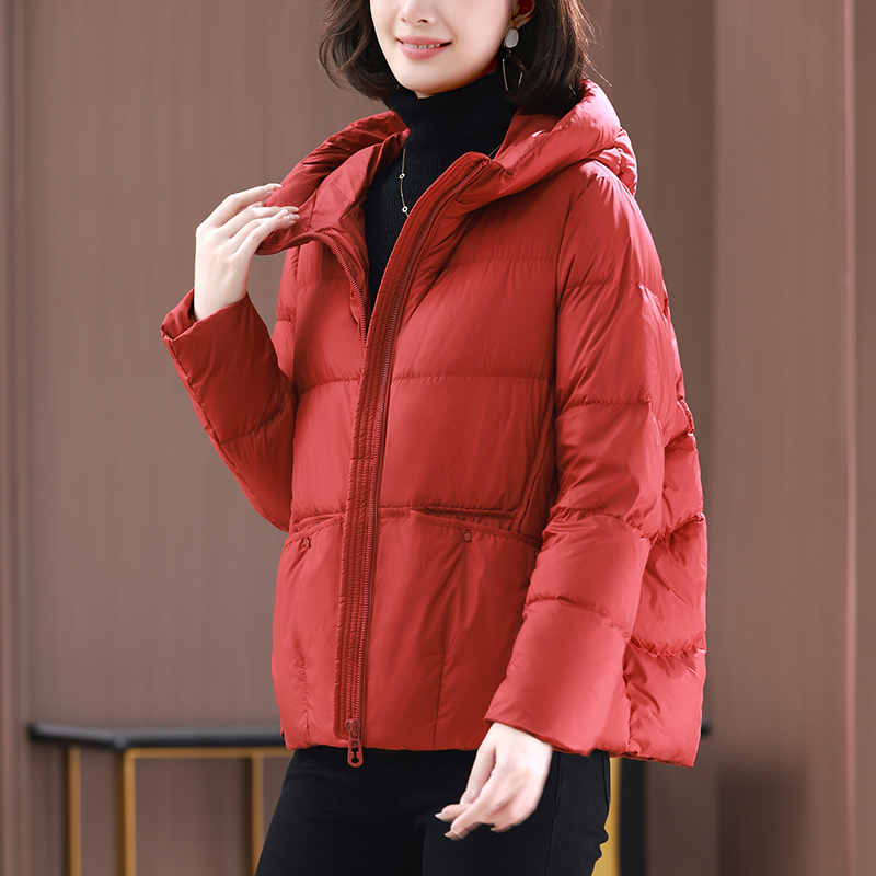 DK-WZY1T22117
