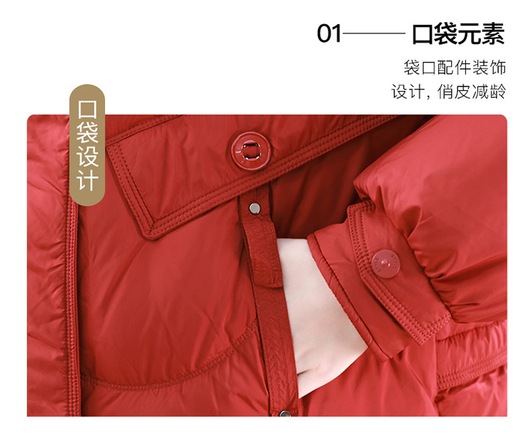 DK-WZY1T22098-1