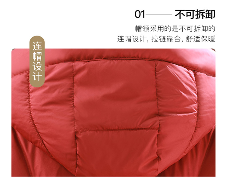 DK-WZY1T22117-1