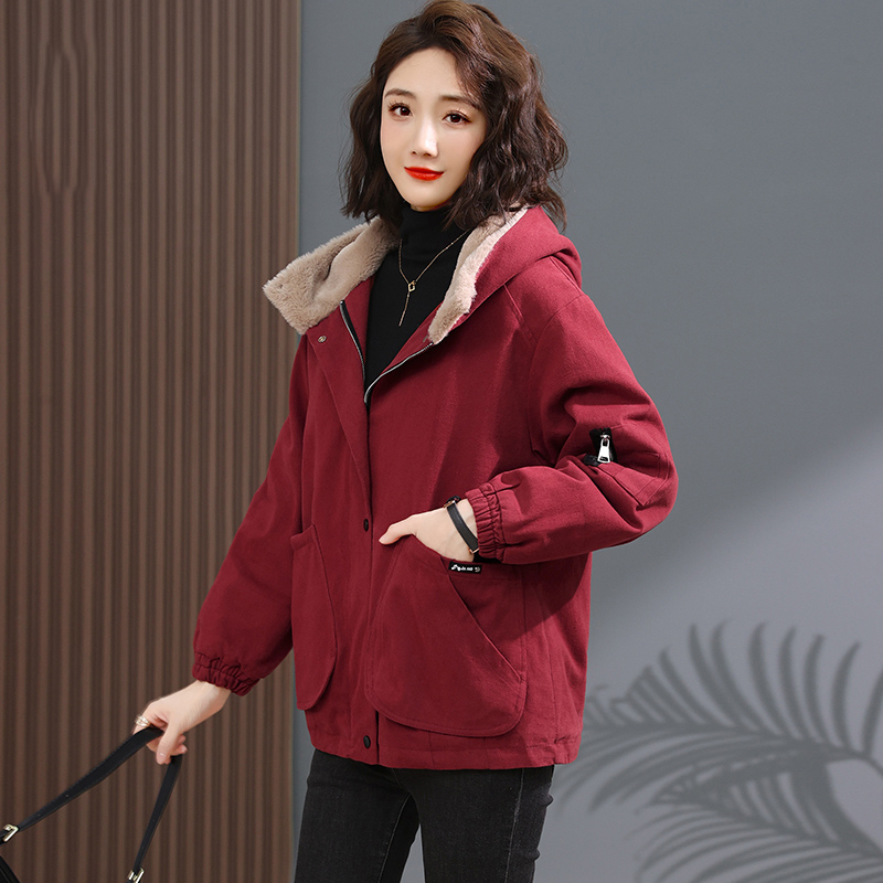 DK-WZLY6790