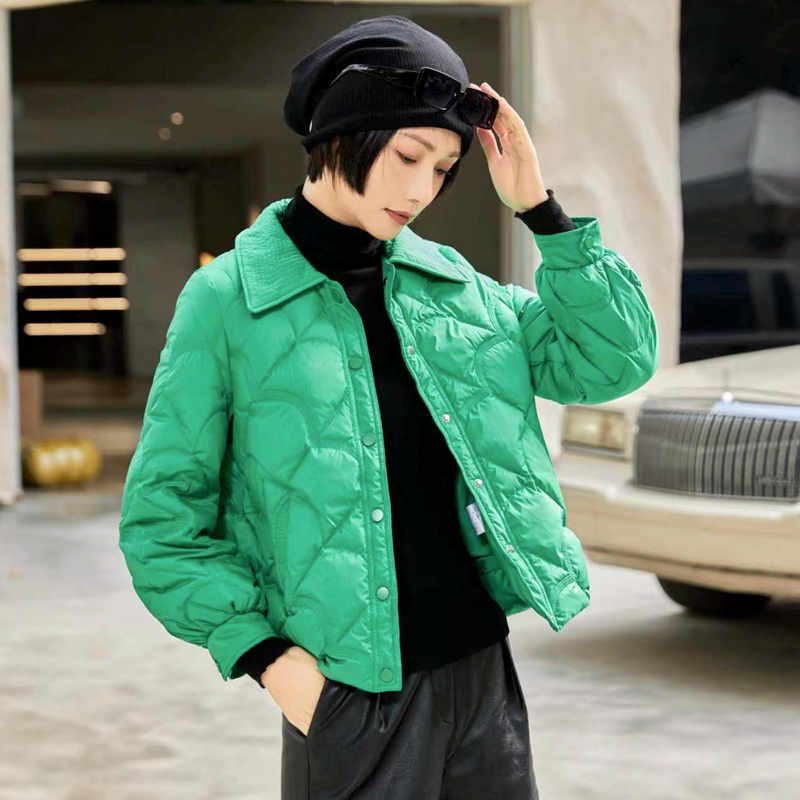 GD-WZY17Y3303