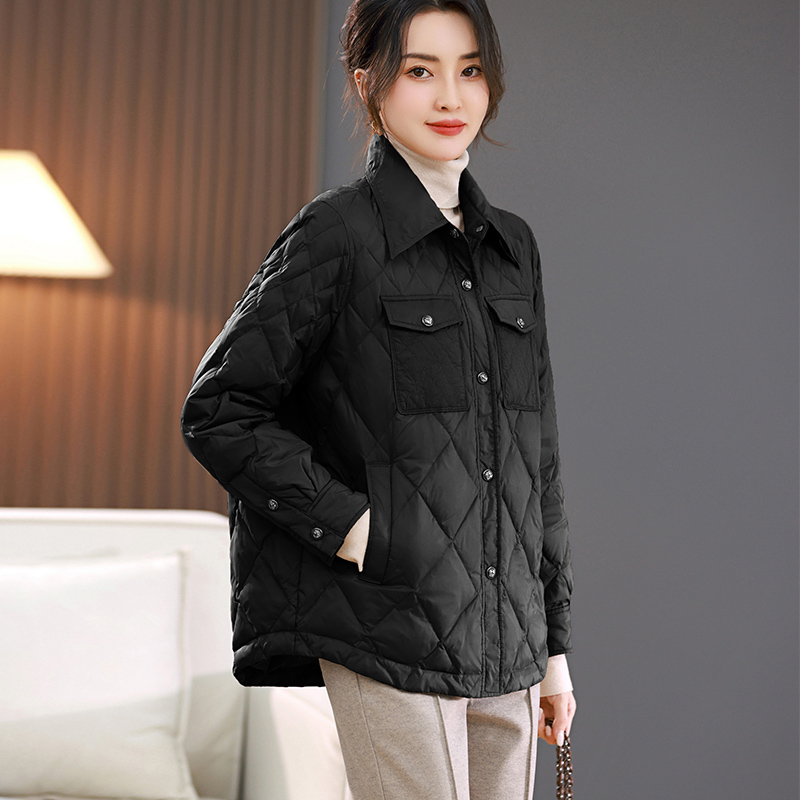 DK-WZLY3543